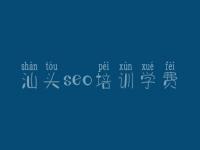 網站建設效果與SEO策略 以重慶與汕頭實踐為例